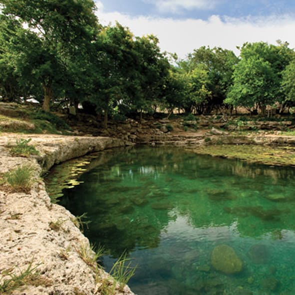 Visitar el Cenote Xlacah – YUCATAN, MARAVILLAS NATURALES
